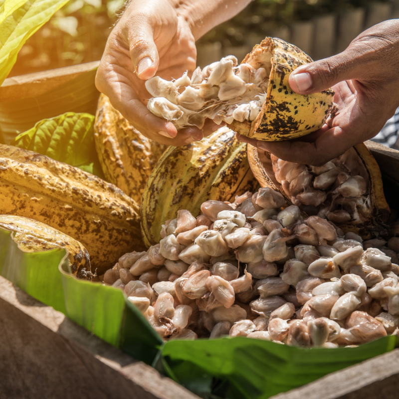 Stone Hill Cocoa Products