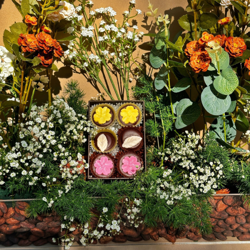Stone Hill Cocoa Products