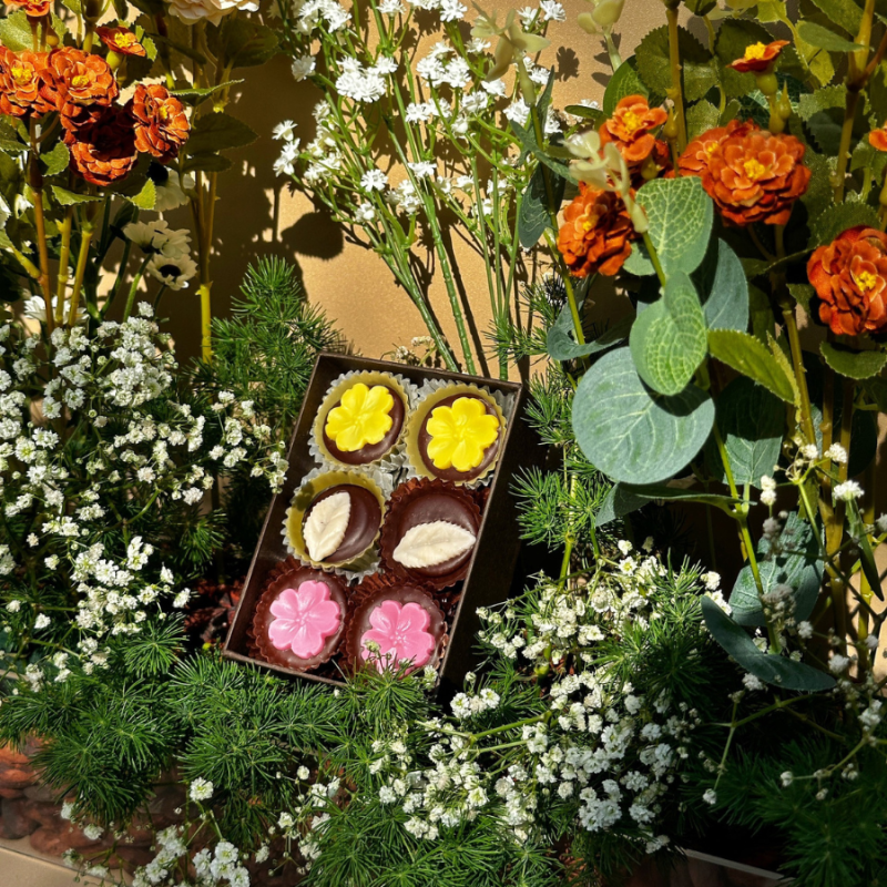Stone Hill Cocoa Products